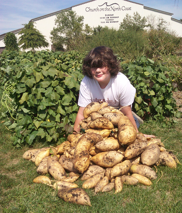 Garden Fresh Potatoes