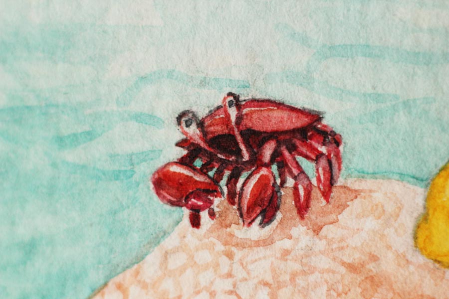 Octopus Reading Detail 4-Watercolor Illustration