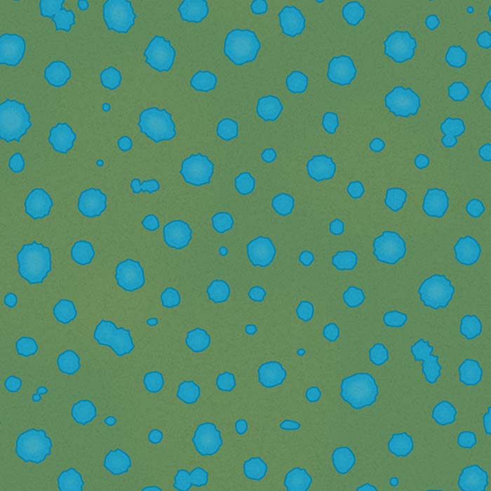 Blue-spotted Ribbontail Ray animal print pattern